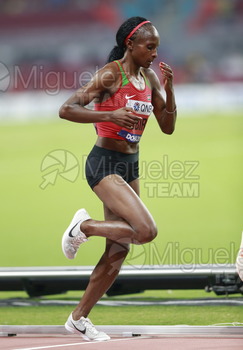 ATLETISMO: Campeonato del Mundo Absoluto al Aire Libre (Doha) 2019.