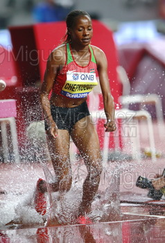 ATLETISMO: Campeonato del Mundo Absoluto al Aire Libre (Doha) 2019.