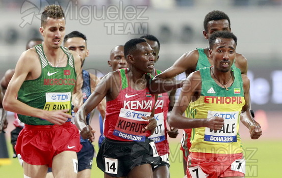 ATLETISMO: Campeonato del Mundo Absoluto al Aire Libre (Doha) 2019.