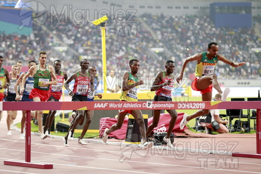 ATLETISMO: Campeonato del Mundo Absoluto al Aire Libre (Doha) 2019.