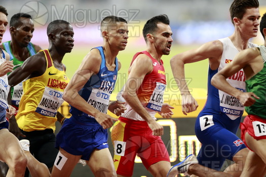 ATLETISMO: Campeonato del Mundo Absoluto al Aire Libre (Doha) 2019.
