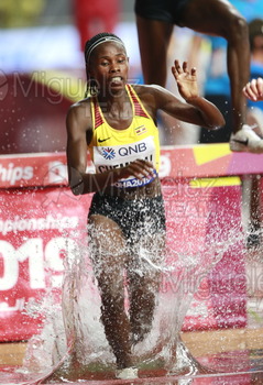 ATLETISMO: Campeonato del Mundo Absoluto al Aire Libre (Doha) 2019.