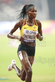 ATLETISMO: Campeonato del Mundo Absoluto al Aire Libre (Doha) 2019.