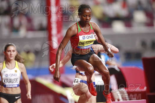 ATLETISMO: Campeonato del Mundo Absoluto al Aire Libre (Doha) 2019.