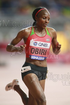 ATLETISMO: Campeonato del Mundo Absoluto al Aire Libre (Doha) 2019.