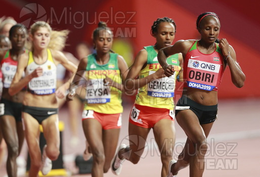 ATLETISMO: Campeonato del Mundo Absoluto al Aire Libre (Doha) 2019.
