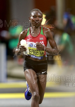 ATLETISMO: Campeonato del Mundo Absoluto al Aire Libre (Doha) 2019.