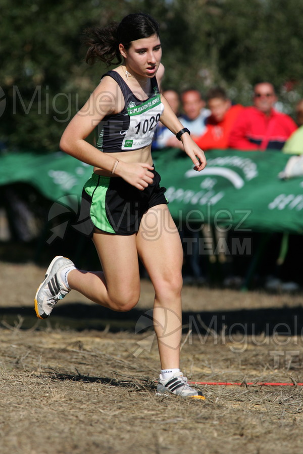 ATLETISMO: 26 Cross Internacional de Itálica (Santiponce - Sevilla) 2008.