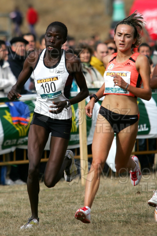 ATLETISMO: XV Cross Internacional de Soria (Parque Valonsadero - Soria) 2008.