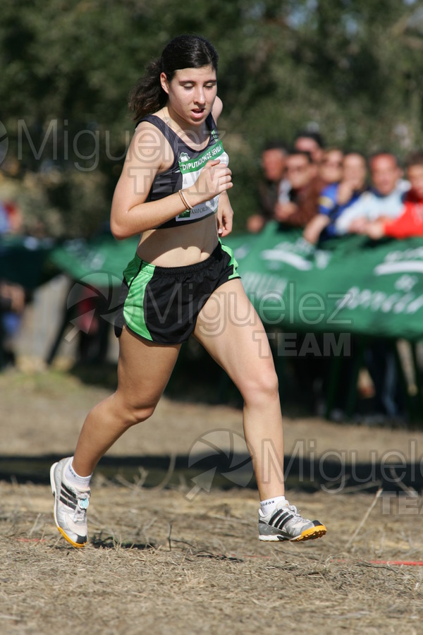 ATLETISMO: 26 Cross Internacional de Itálica (Santiponce - Sevilla) 2008.