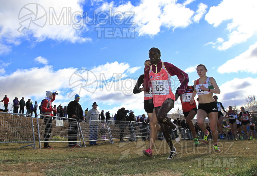 ATLETISMO: Copa de Europa de Clubes de Cross (Guadalajara)  2015.