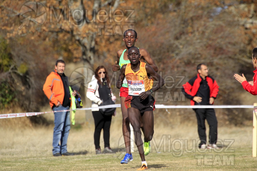 ATLETISMO: XX Cross Internacional de Soria (Valonsadero) 2013.
