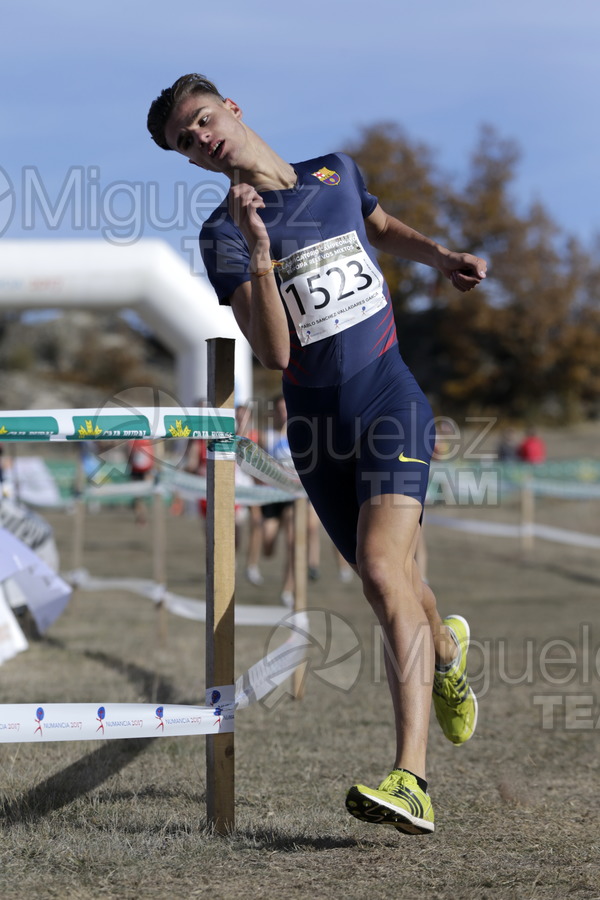 ATLETISMO:  XXIV Cross Internacional de Soria 2017.