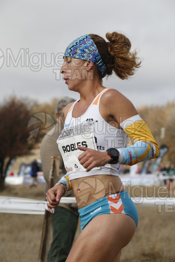 ATLETISMO: Cross Internacional de Soria (Valonsadero) 2016.