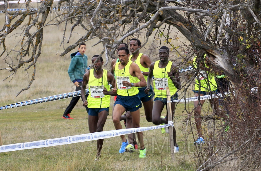 ATLETISMO. XXI Cross de Soria. Valonsadero (Soria) 2014.