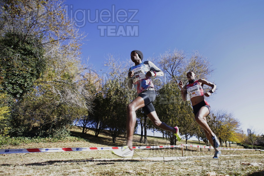 ATLETISMO: 36 Cross Internacional de la Constitución (Alcobendas) 2017.