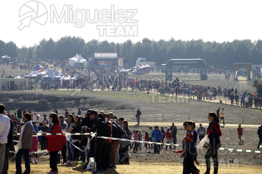 ATLETISMO: Cross Internacional de Italica (Santiponce) 2018.
