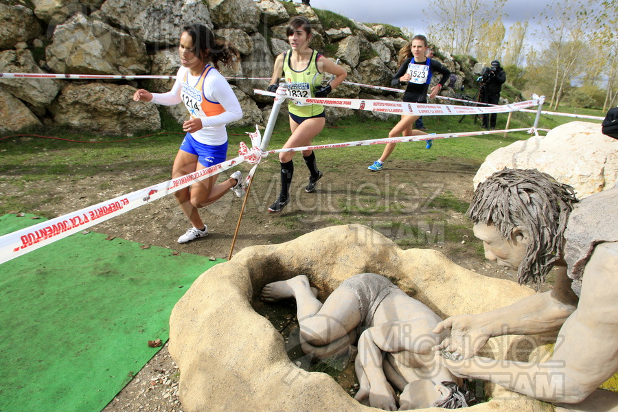 ATLETISMO: VIII Cross Internacional de Atapuerca (Atapuerca) 2012.