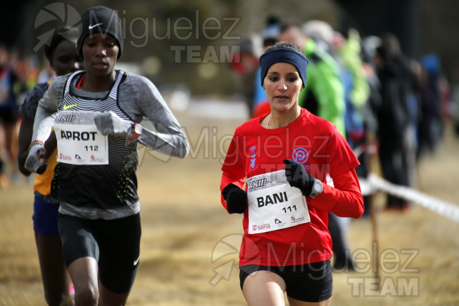 ATLETISMO: Cross Internacional de Soria (Valonsadero) 2016.
