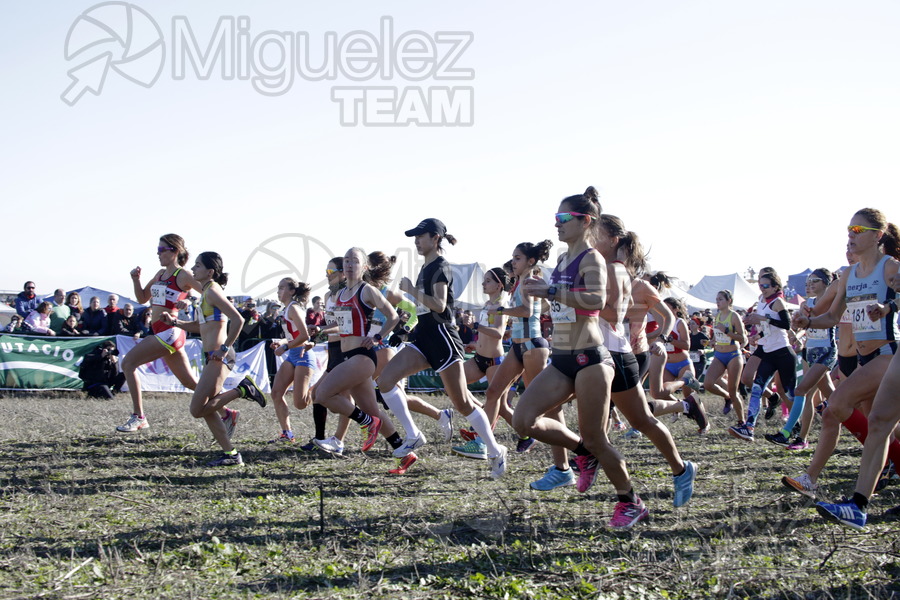 ATLETISMO: Cross Internacional de Italica (Santiponce) 2018.