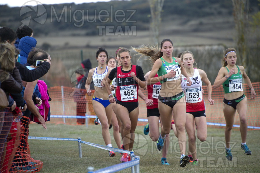 ATLETISMO: XIII Cross Internacional de Atapuerca (Burgos) 2016.