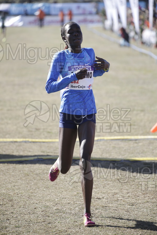ATLETISMO:  Cross Internacional de Atapuerca (Atapuerca) 2017.