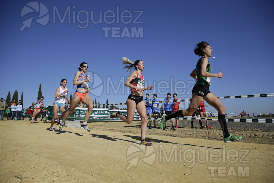 ATLETISMO: Cross Internacional de Italica (Santiponce) 2018.