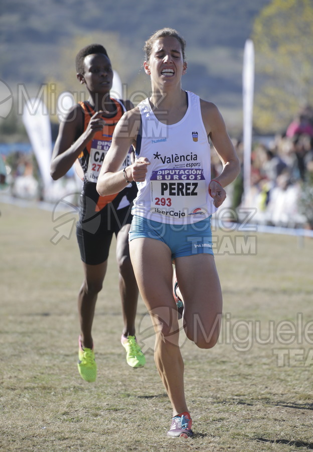 ATLETISMO:  Cross Internacional de Atapuerca (Atapuerca) 2017.