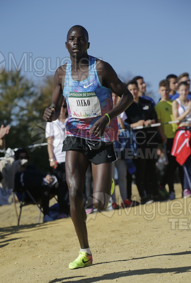 ATLETISMO: Cross Internacional de Italica (Santiponce) 2018.