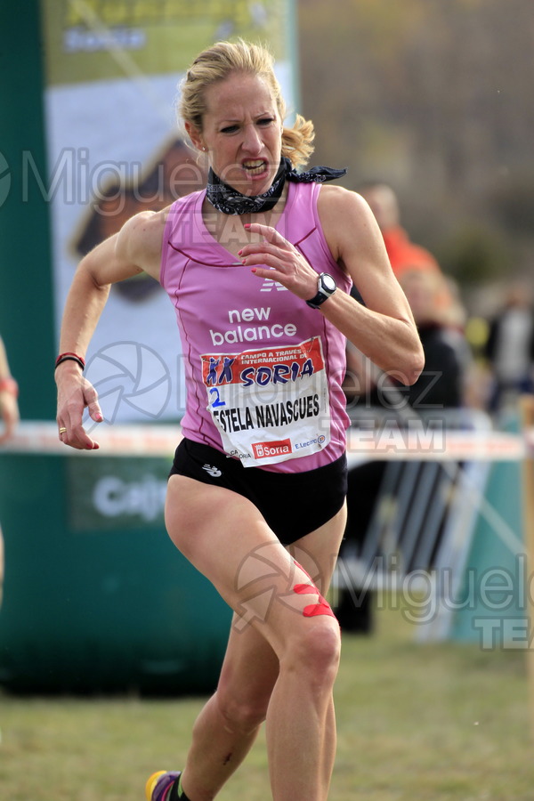ATLETISMO: XX Cross Internacional de Soria (Valonsadero) 2013.