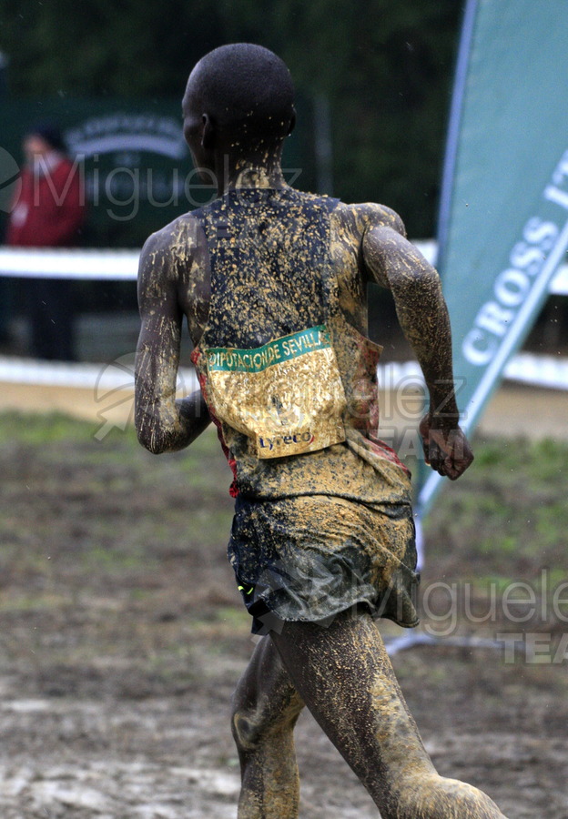 ATLETISMO: Cross Internacional de Italica (Santiponce) 2012