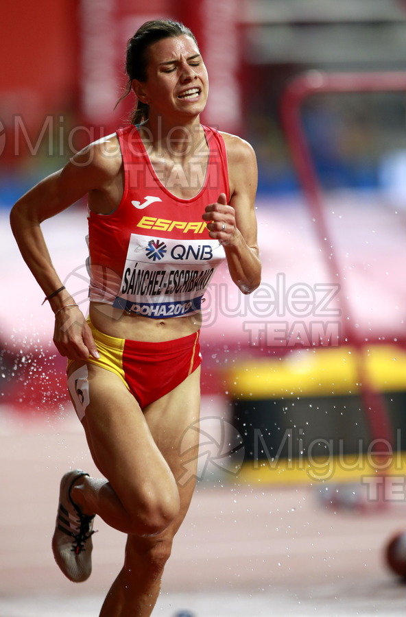 ATLETISMO: Campeonato del Mundo Absoluto al Aire Libre (Doha) 2019.
