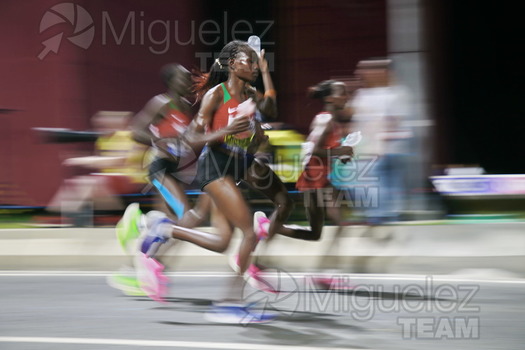 ATLETISMO: Campeonato del Mundo Absoluto al Aire Libre (Doha) 2019.