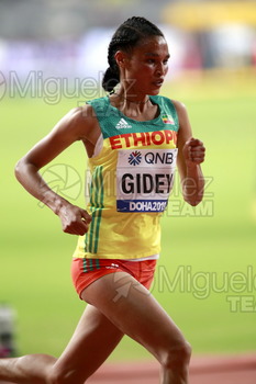 ATLETISMO: Campeonato del Mundo Absoluto al Aire Libre (Doha) 2019.