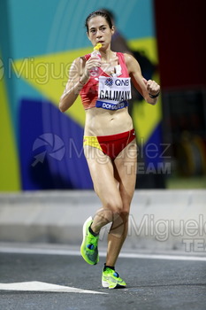 ATLETISMO: Campeonato del Mundo Absoluto al Aire Libre (Doha) 2019.