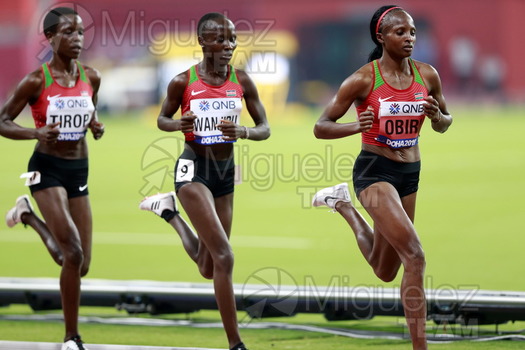 ATLETISMO: Campeonato del Mundo Absoluto al Aire Libre (Doha) 2019.