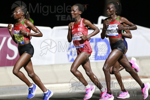 ATLETISMO: Campeonato del Mundo Absoluto al Aire Libre (Doha) 2019.