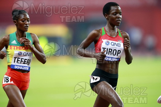 ATLETISMO: Campeonato del Mundo Absoluto al Aire Libre (Doha) 2019.