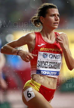 ATLETISMO: Campeonato del Mundo Absoluto al Aire Libre (Doha) 2019.