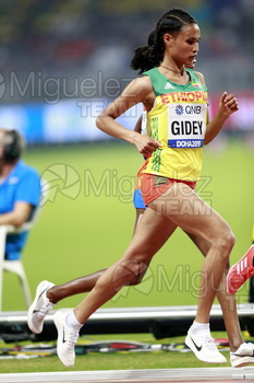 ATLETISMO: Campeonato del Mundo Absoluto al Aire Libre (Doha) 2019.