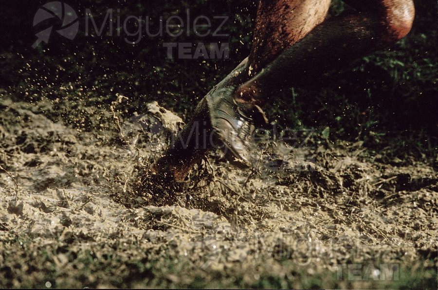 Cross Internacional del Valle de LLodio 1998.