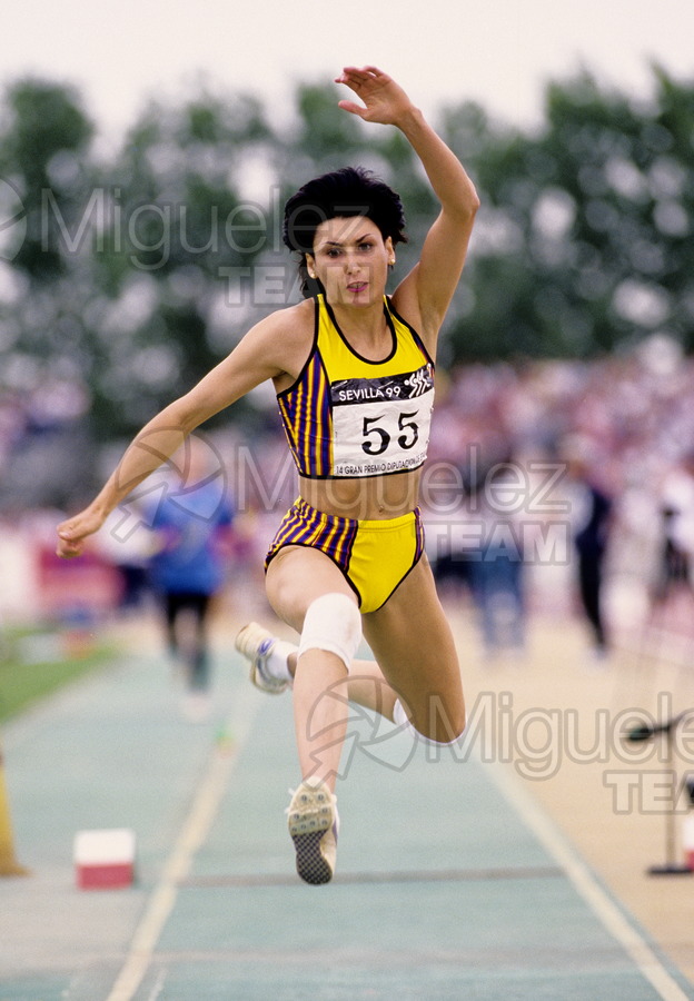 ATLETISMO: 14 Gran Premio Diputación de Sevilla (Sevilla) 1997.