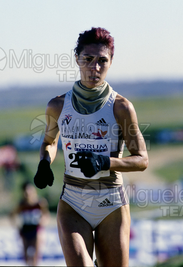 Cross Internacional de Fuensalida (Toledo) 2004.