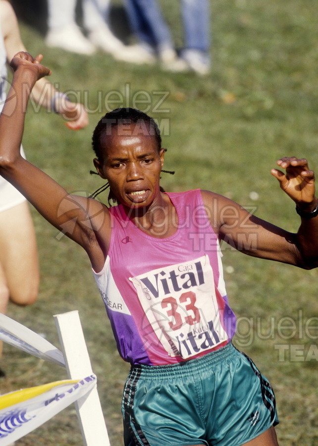 Cross Internacional del Valle de Llodio (Alava) 1991.
