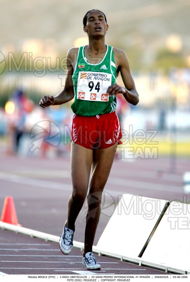 III Gran Premio Internacional de Aragon (Zaragoza) 2006.