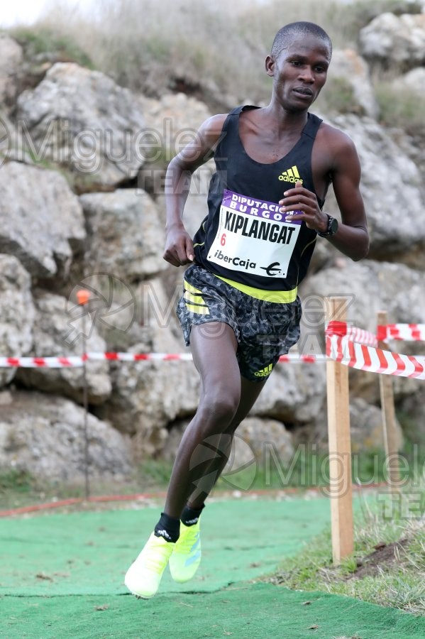 XVII Cross Internacional de Atapuerca (Atapuerca - BURGOS) 2021.
