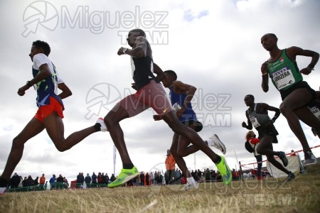 XVII Cross Internacional de Atapuerca (Atapuerca - BURGOS) 2021.