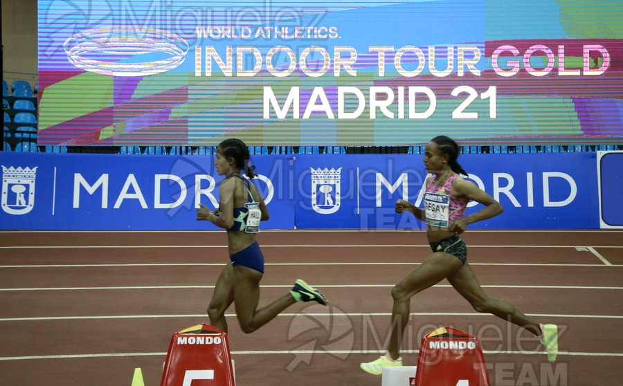 ATLETISMO: Meeting Madrid. World Indoor Tour Gold (Madrid) 2021.