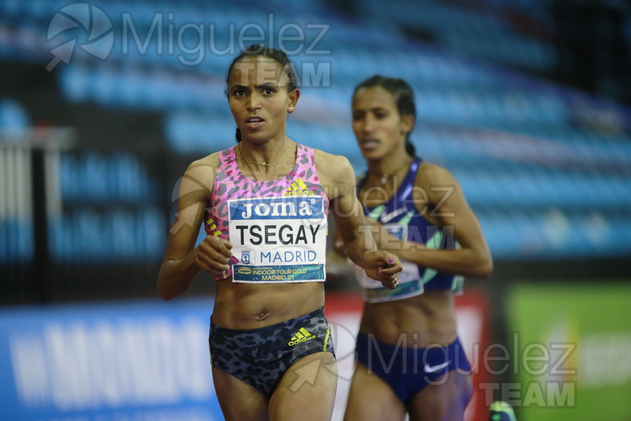 ATLETISMO: Meeting Madrid. World Indoor Tour Gold (Madrid) 2021.