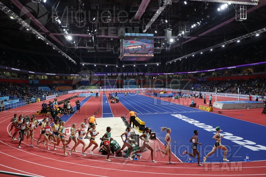 Campeonato del Mundo de Atletismo en Pista Cubierta (Belgrado) / World Athletics Indoor Championships (Belgrade) 2022.